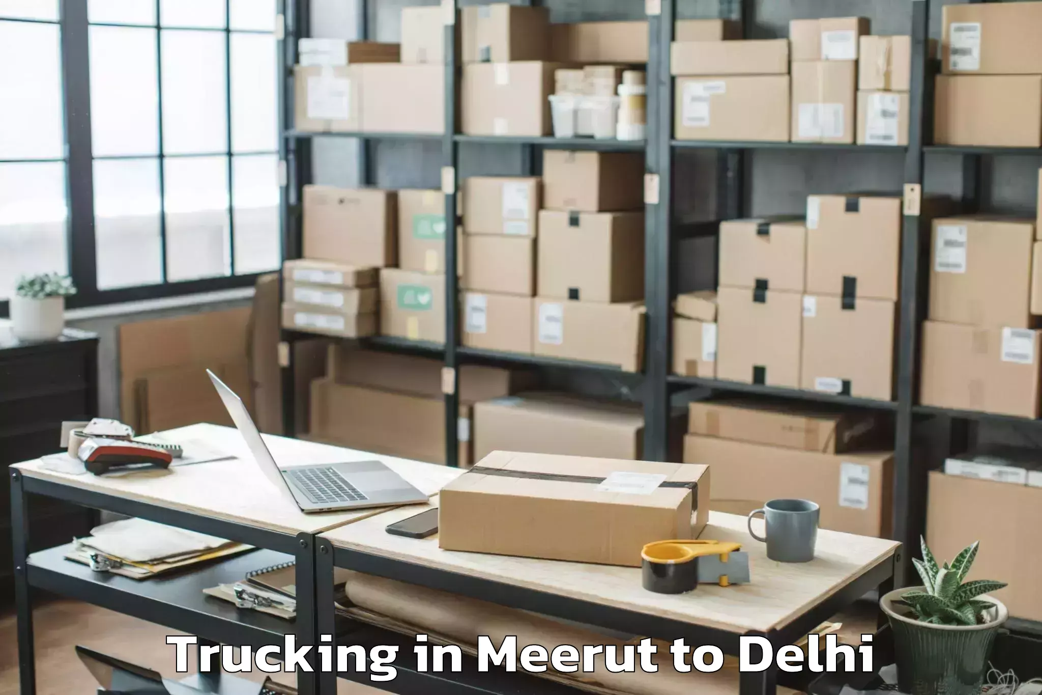 Quality Meerut to Jawaharlal Nehru University Ne Trucking